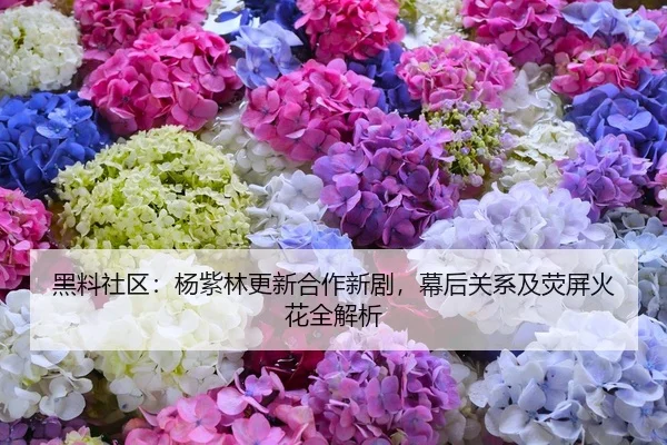 黑料社区：杨紫林更新合作新剧，幕后关系及荧屏火花全解析